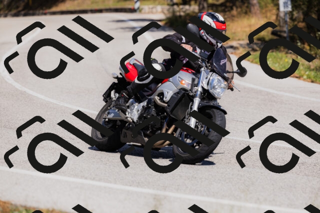 202509061406-_04A6732_c3