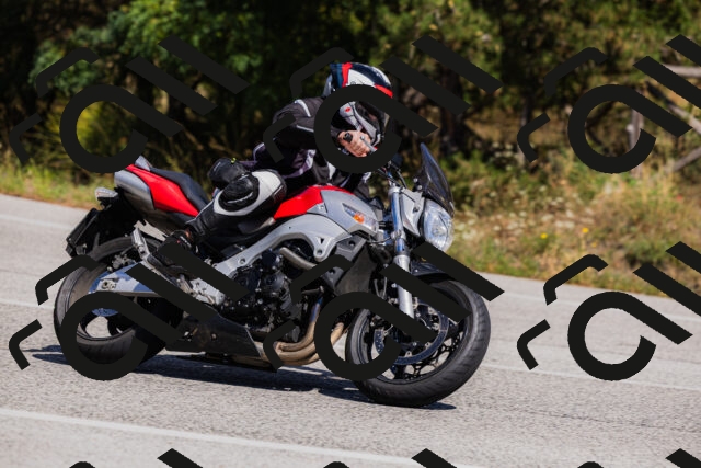 202509061406-_04A6733_c3