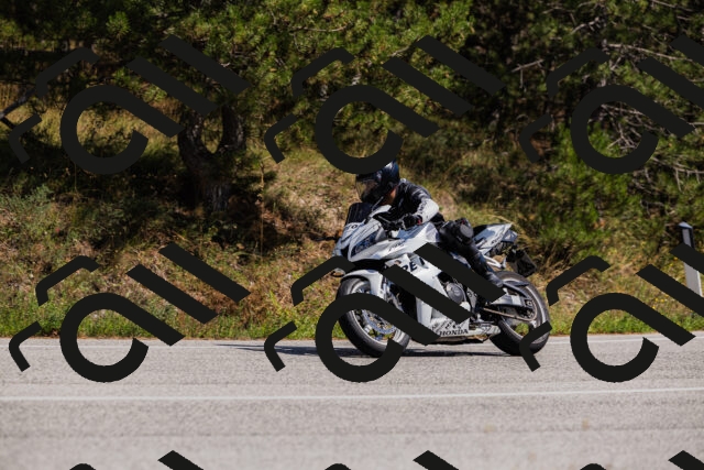 202509061406-_04A6739_c3