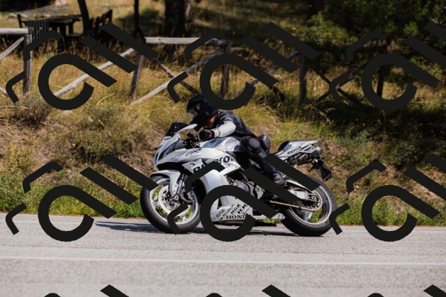 202509061406-_04A6740_c3