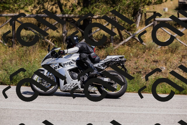 202509061406-_04A6741_c3