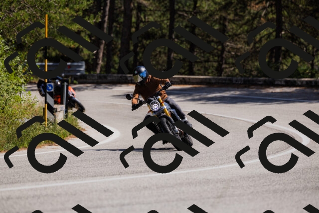 202509061406-_04A6742_c3