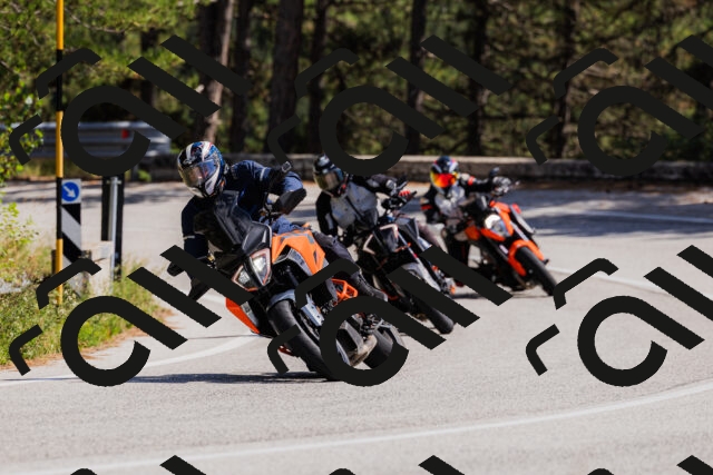 202509061406-_04A6745_c3