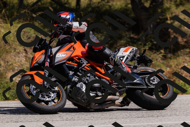 202509061406-_04A6748_c3