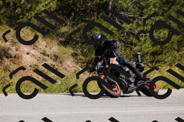 202509061406-_04A6750_c3