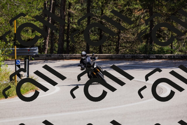 202509061406-_04A6753_c3