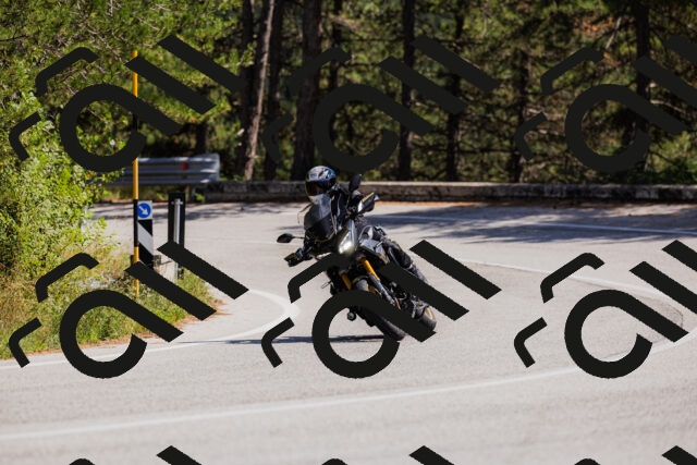 202509061406-_04A6755_c3