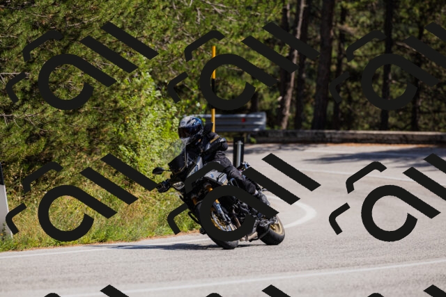 202509061406-_04A6756_c3