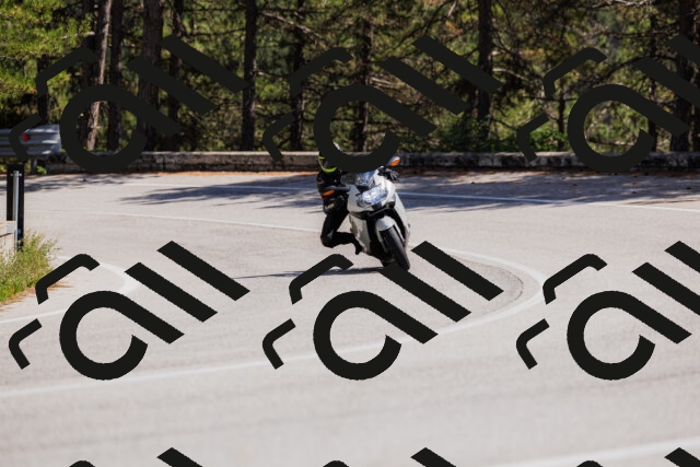 202509061407-_04A6761_c3