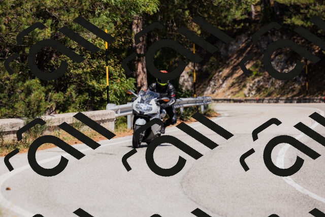 202509061408-_04A6767_c3