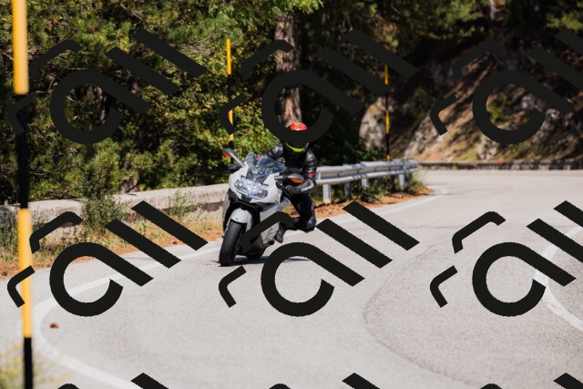 202509061408-_04A6768_c3