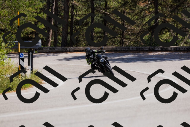 202509061409-_04A6780_c3