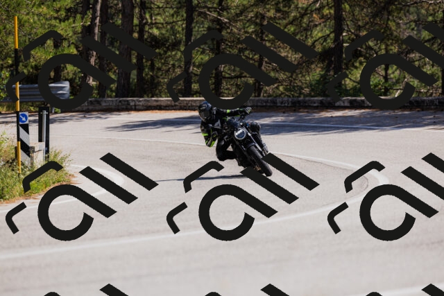 202509061409-_04A6781_c3