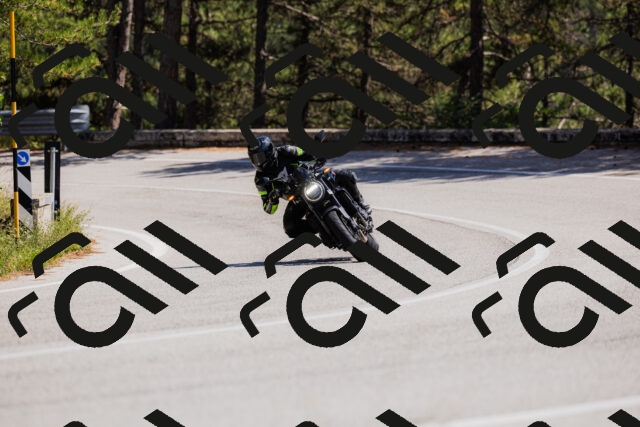 202509061409-_04A6782_c3