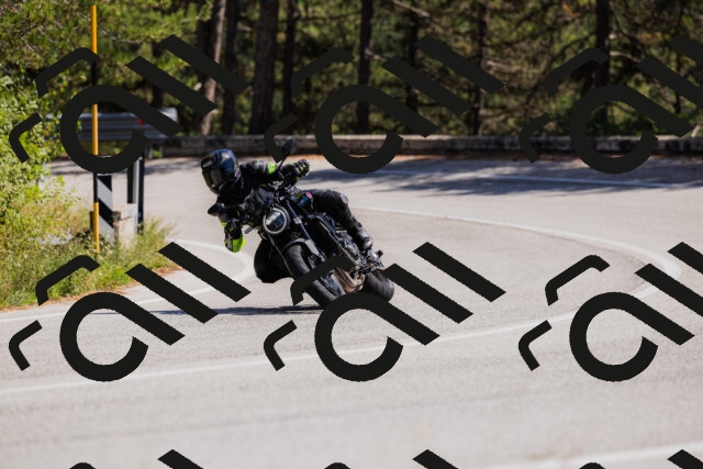 202509061409-_04A6783_c3