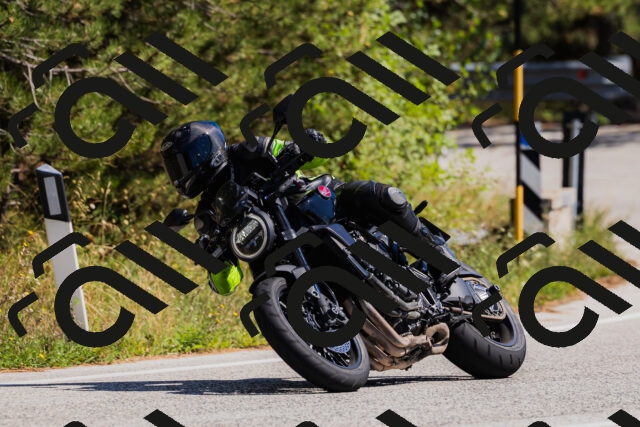 202509061409-_04A6784_c3