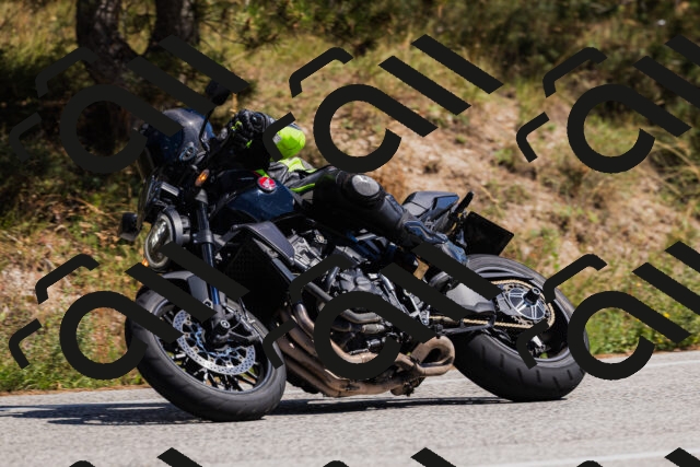 202509061409-_04A6785_c3