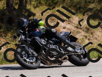 202509061409-_04A6785_c3