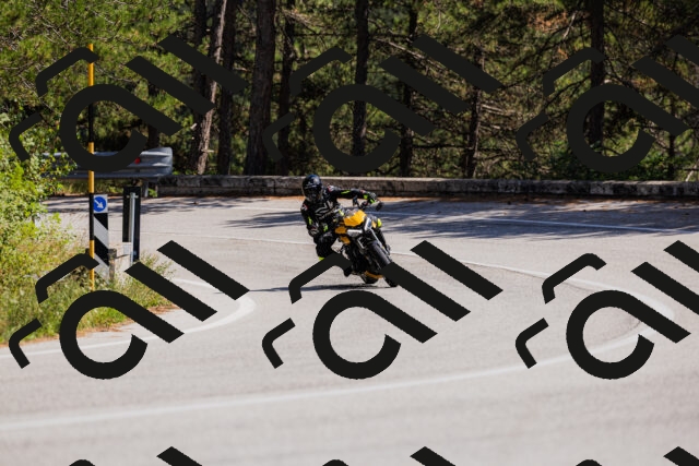 202509061409-_04A6786_c3