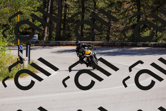 202509061409-_04A6787_c3