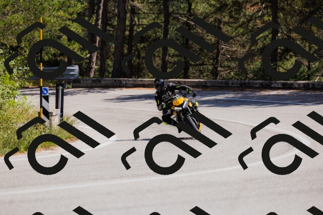 202509061409-_04A6788_c3