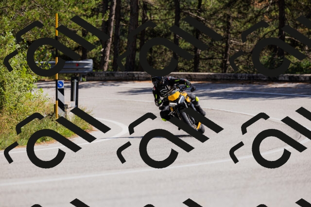 202509061409-_04A6789_c3