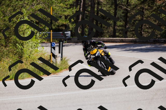 202509061409-_04A6790_c3