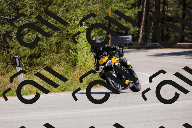 202509061409-_04A6791_c3