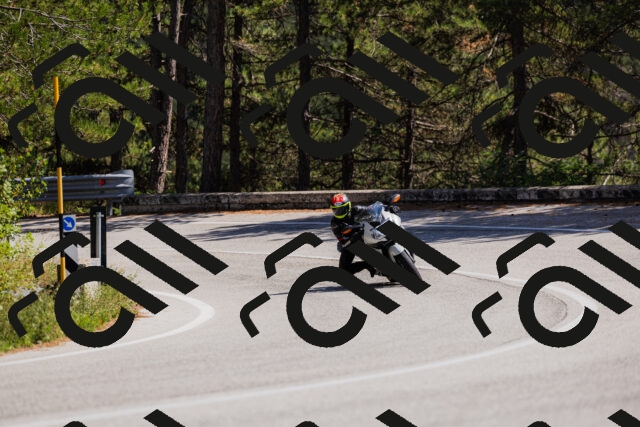 202509061410-_04A6793_c3