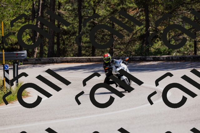 202509061410-_04A6795_c3