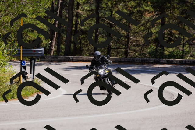 202509061410-_04A6803_c3