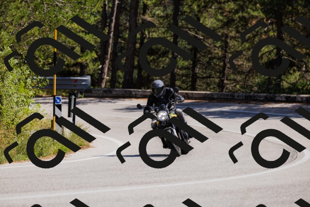 202509061410-_04A6804_c3