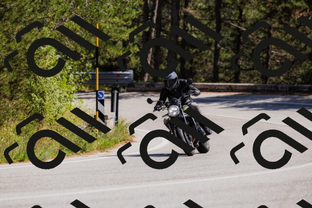 202509061410-_04A6805_c3