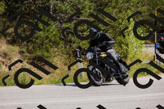 202509061410-_04A6807_c3