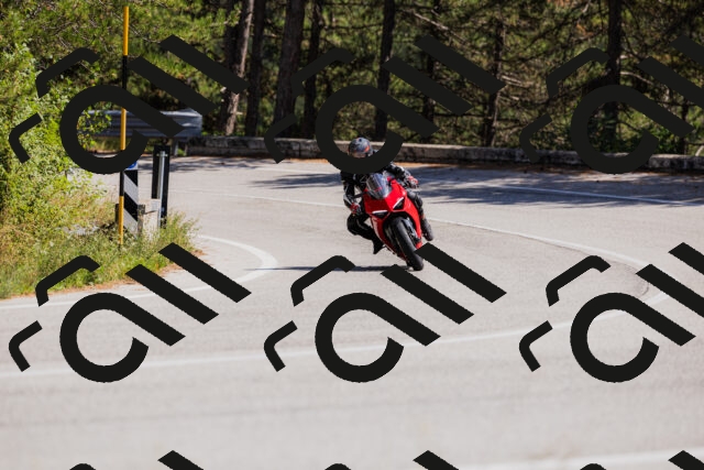 202509061410-_04A6808_c3