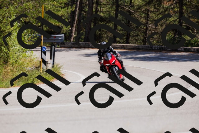 202509061410-_04A6809_c3