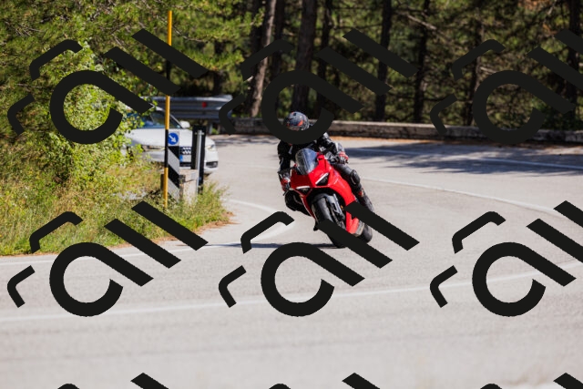 202509061410-_04A6810_c3