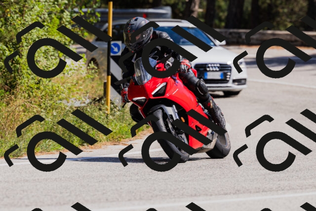 202509061410-_04A6811_c3