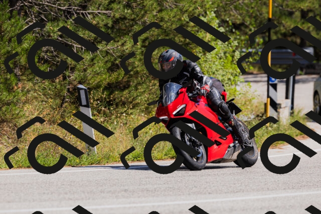 202509061410-_04A6812_c3