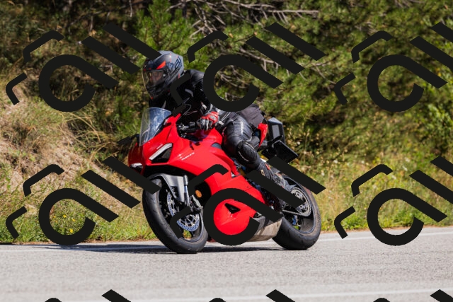 202509061410-_04A6813_c3