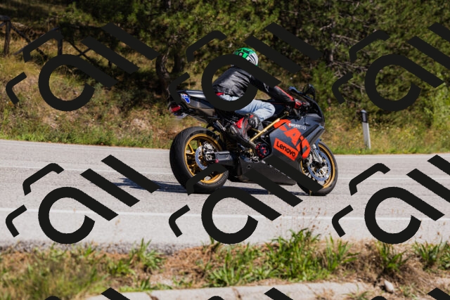 202509061414-_04A6825_c3