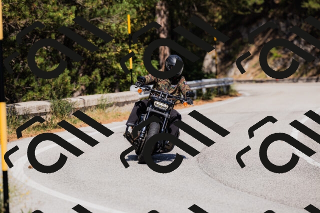 202509061415-_04A6826_c3