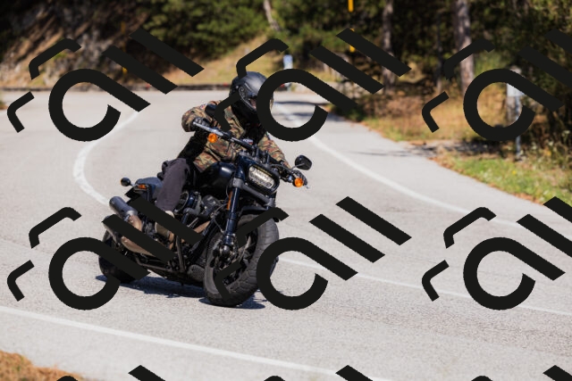 202509061415-_04A6827_c3