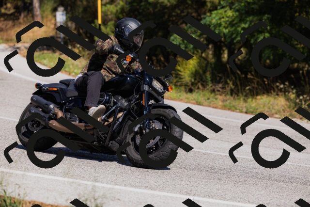 202509061415-_04A6828_c3