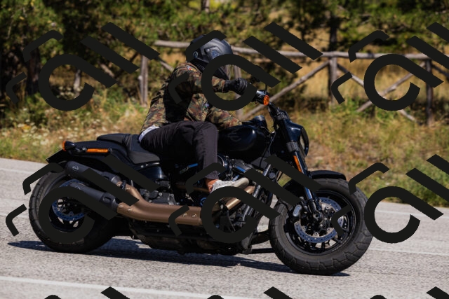 202509061415-_04A6829_c3