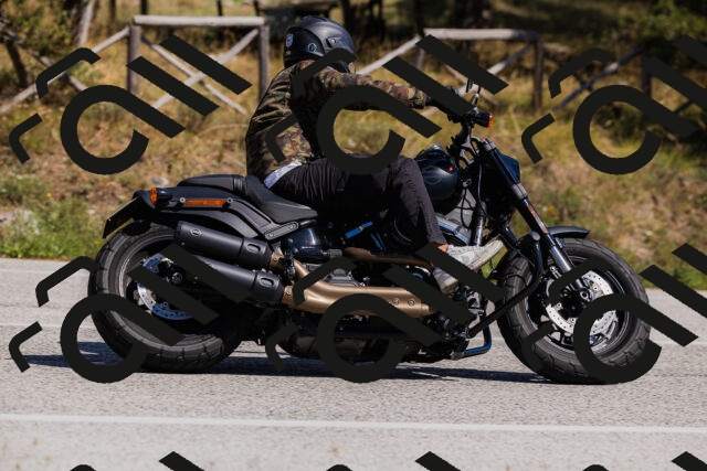 202509061415-_04A6830_c3