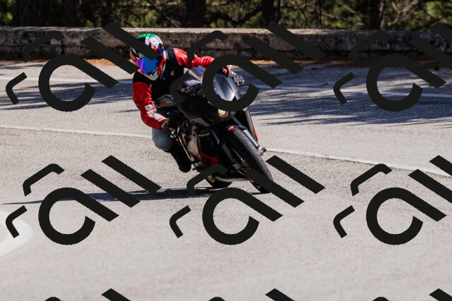 202509061415-_04A6835_c3