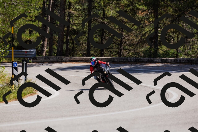 202509061415-_04A6836_c3