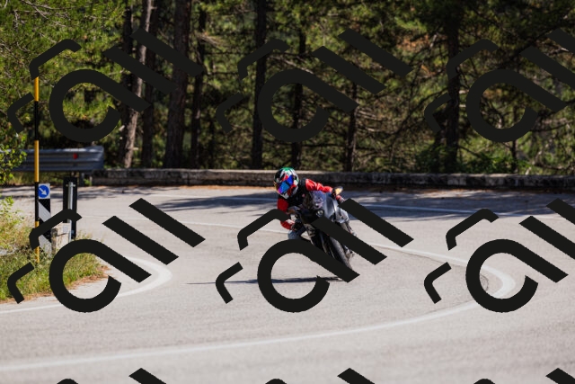 202509061415-_04A6837_c3