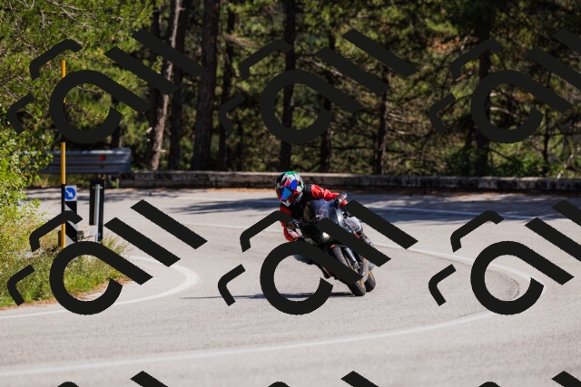 202509061415-_04A6838_c3